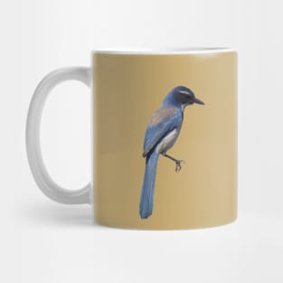 Blue Jay Mug